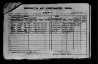 Household return form from the 1901 Census of Ireland