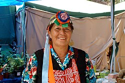 Mapuche woman