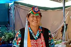 Mapuche woman