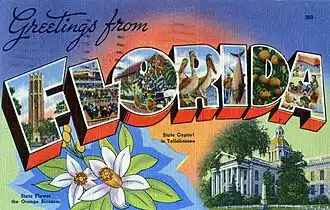 Florida postcard