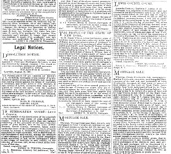 Legal Notice, Lewis County Democrat, Lowville, New York December 15, 1880 p4 col8