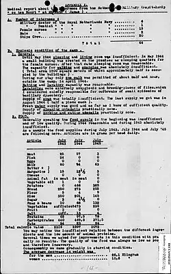 Netherlands military report