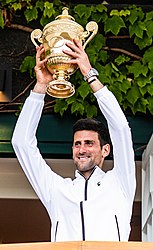 Novak Djokovic, the Serb player who has won 22 Grand Slams at the time of writing