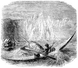 Inuit Man Hunting a Narwhal