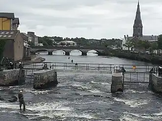 Fly fishing at Ballina, Co. Mayo
