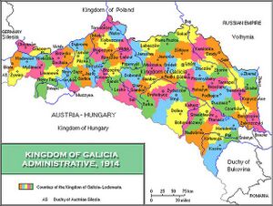 Galicia, now part of southeastern Poland and southwestern Ukraine, was an important part of Ukraine's immigrant history.