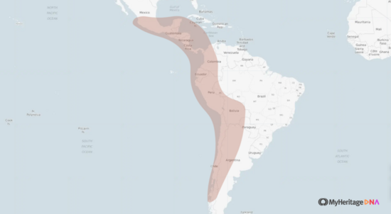 Mesoamerican and Andean ethnicity map (MyHeritage)