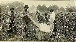 Photo from the book "A hand book of Virginia ," 1911.