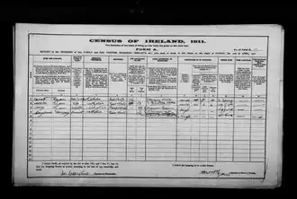 Census record of Ireland, 1911