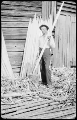 Finnish renki with hay sticks. 1940.