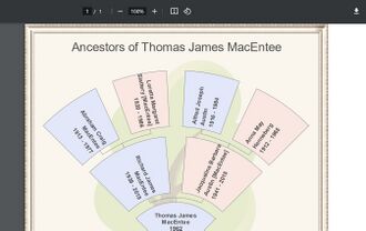 MyHeritage Family Tree Builder Chart