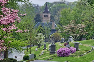 cemetery, Cave Hill Cemetery, landscape design, trees, arboretum