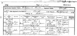 Ireland birth registration