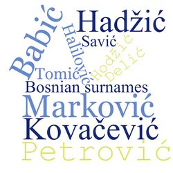 Bosnian surnames