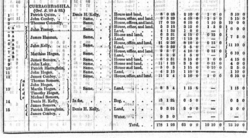 government document