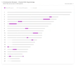 MyHeritage Chromosome Browser