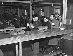Jewish refugees receiving bread rations at the Bindermichl displaced persons' camp in Linz, Austria. 1946