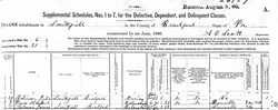 1880 Defective, Dependent, and Delinquent Schedule, Smithfield, Pennsylvania via United States Census Bureau