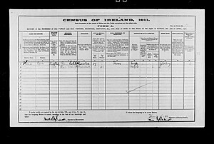 Typical 1911 Ireland census record.
