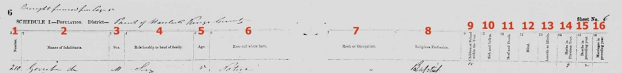 Column information for 1861 census in New Brunswick