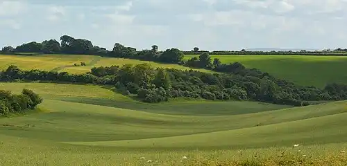 Sweep of the Downs at Starveall