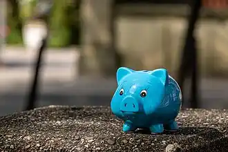How to Optimize Spending on Genealogical Research - Piggy Bank