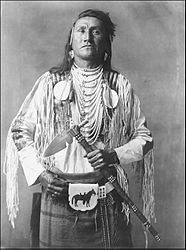 Native American ethnicity - MyHeritage Wiki