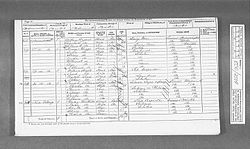 1871 census