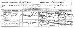 Death registration of Mary Devlin. 19 August 1872. Courtesy of Irish Genealogy.